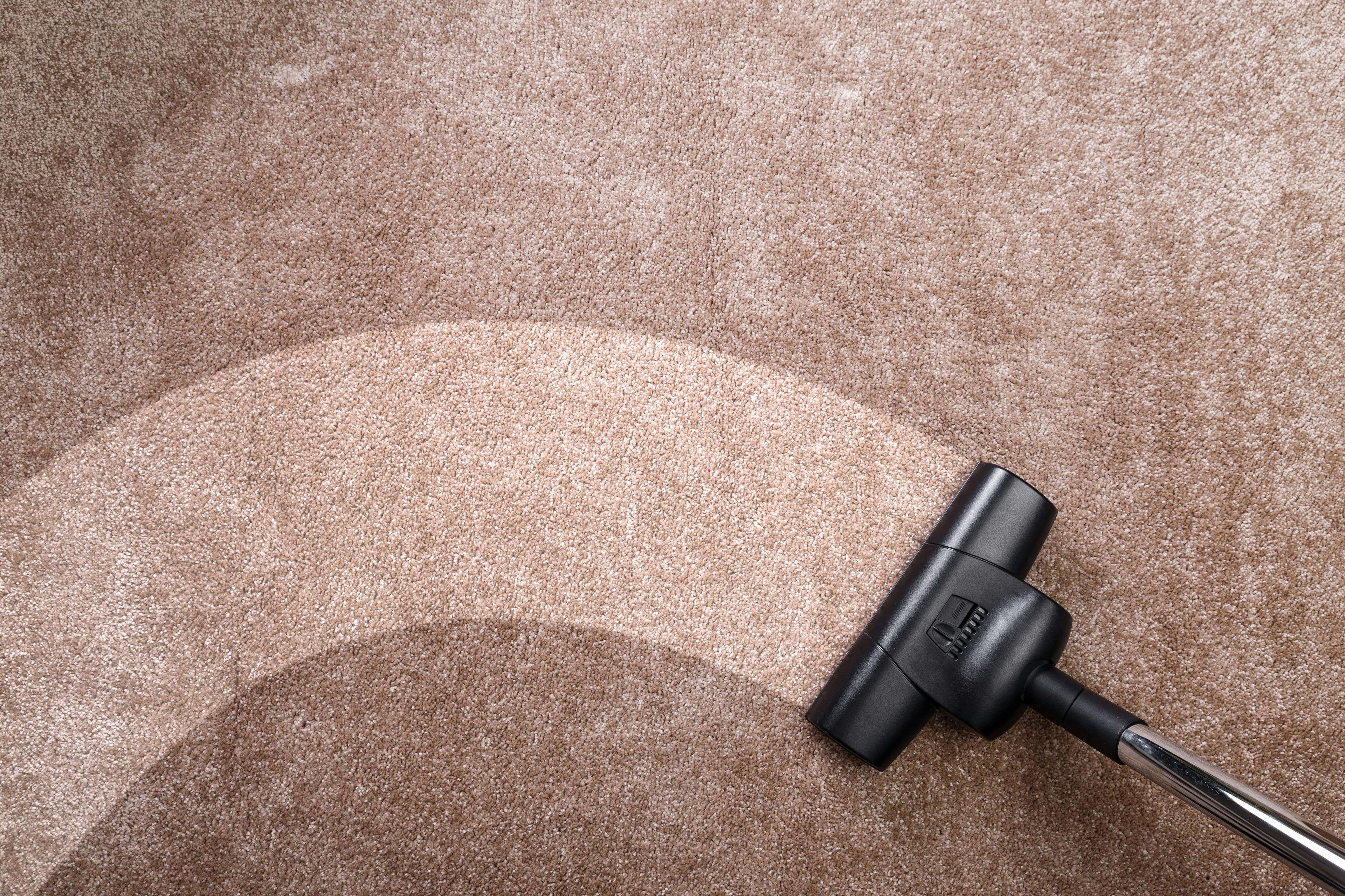 Tiefenreine Frische: Professionelle Teppichreinigung für Ihr Zuhause
