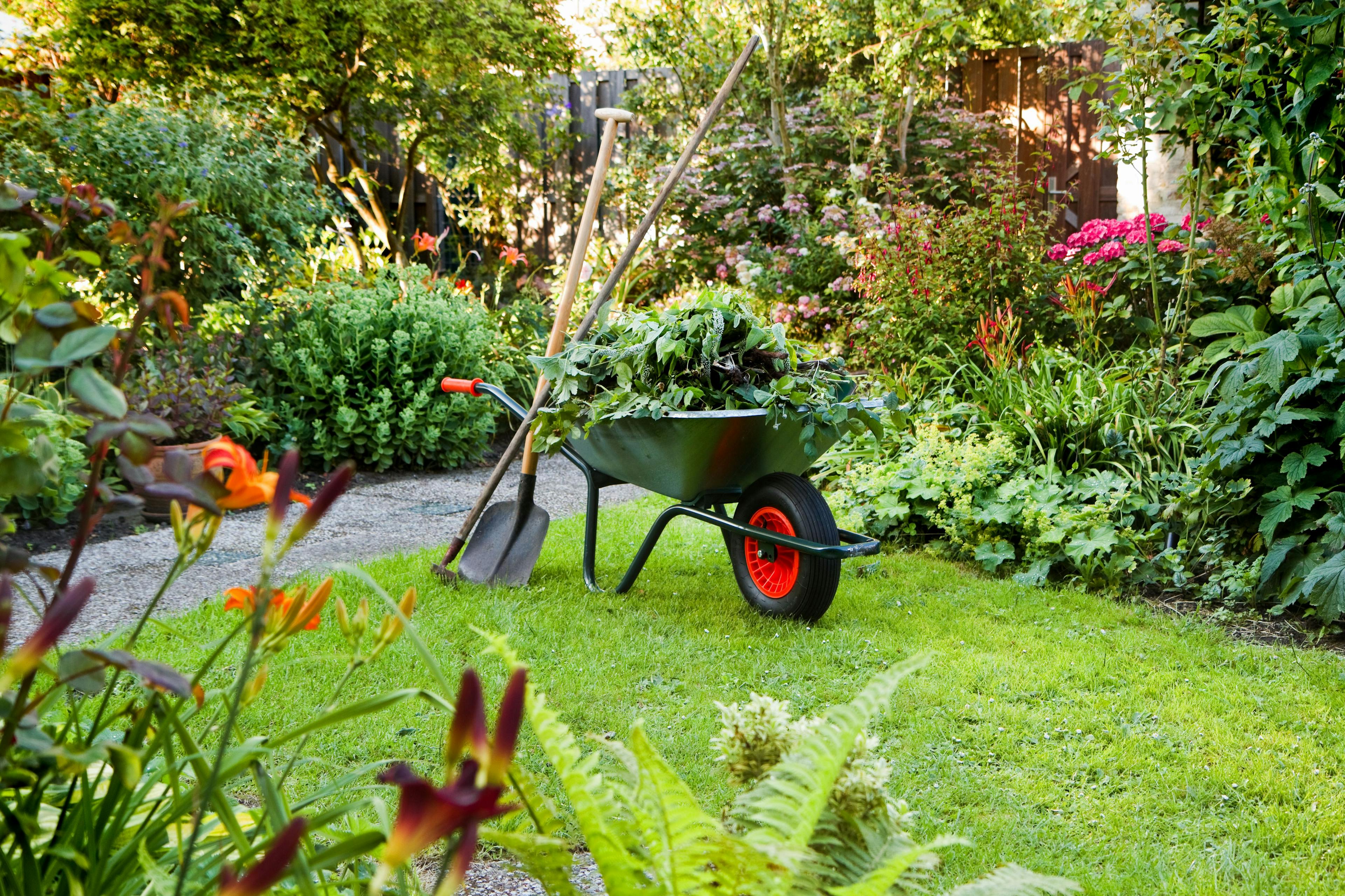 Grünes Paradies: Professionelle Gartenpflege für Ihren Traumgarten