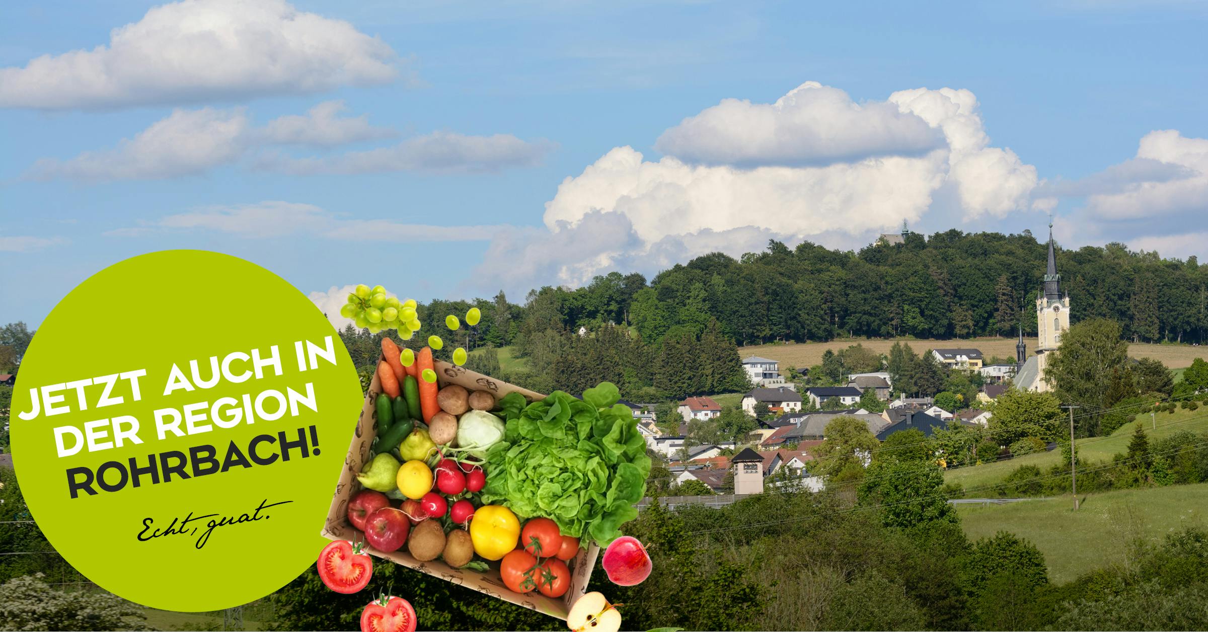 Bio Obst und Gemüse Kiste online Abo bestellen und kaufen in Rohrbach