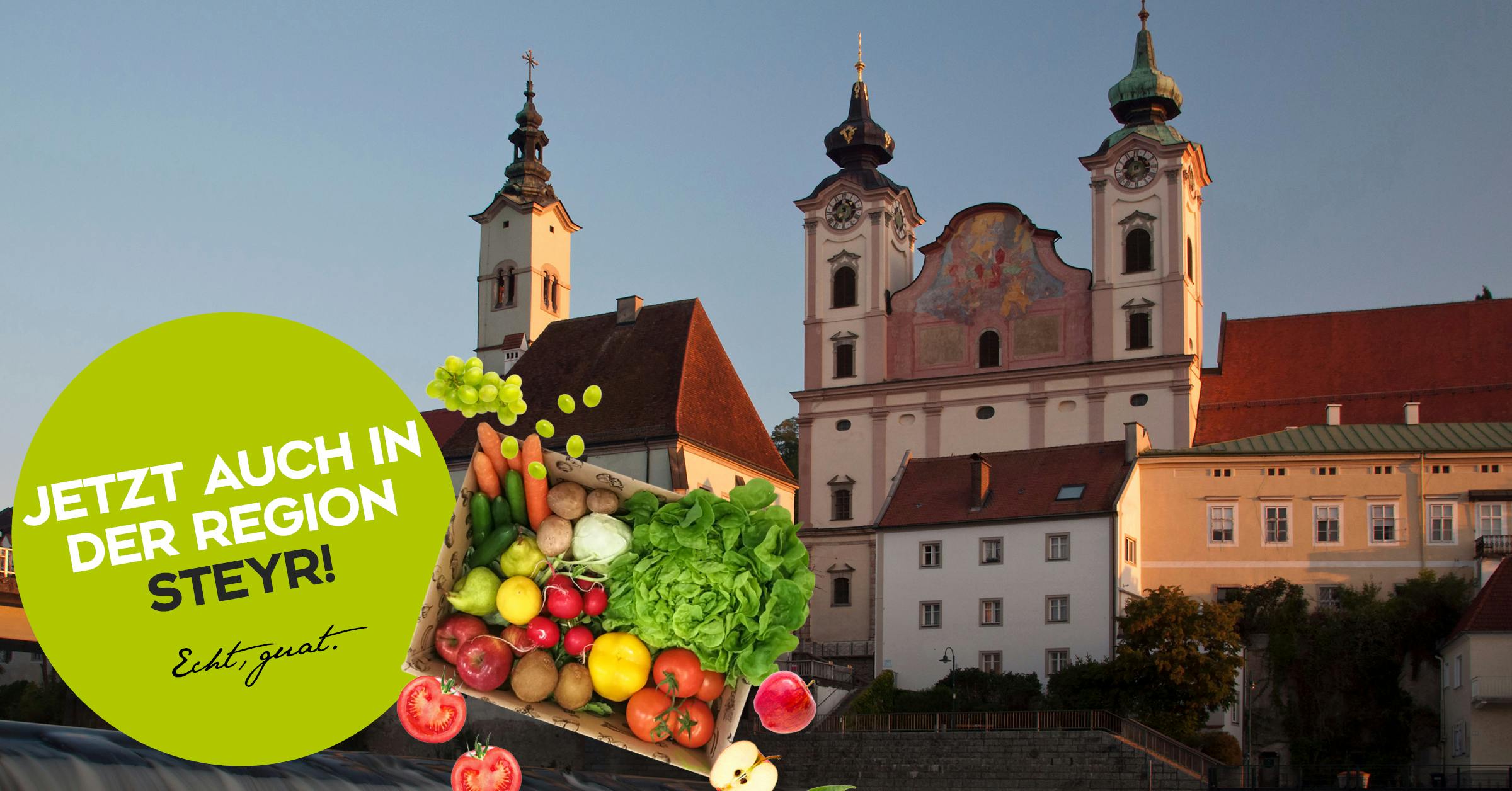 Bio Obst und Gemüse Kiste online Abo bestellen und kaufen in Steyr