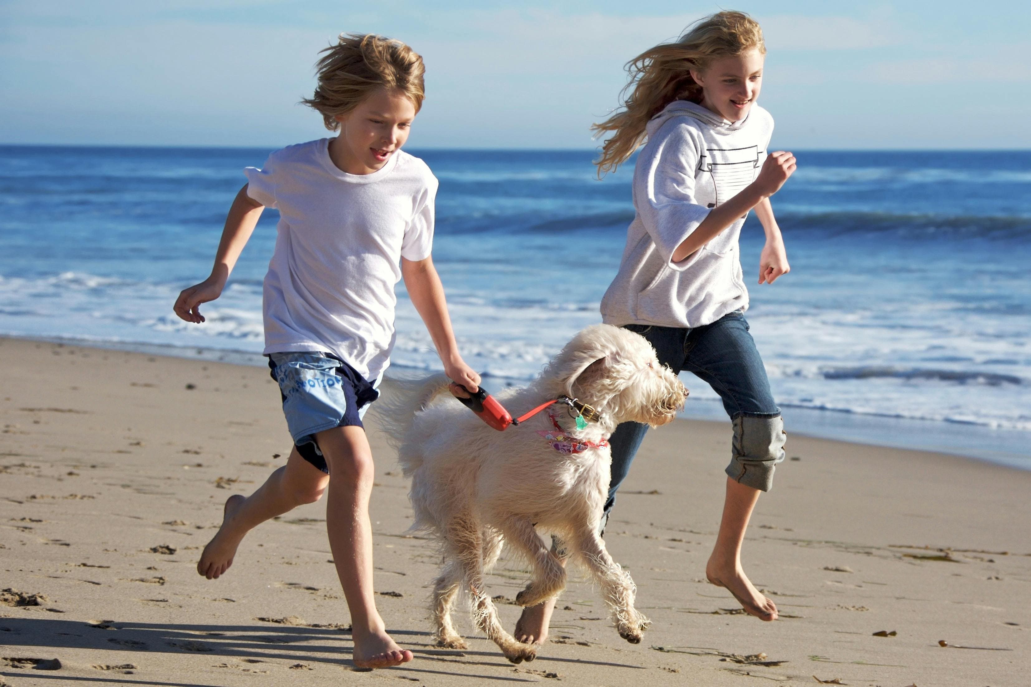 Unterkunft Urlaub Hund Ostsee